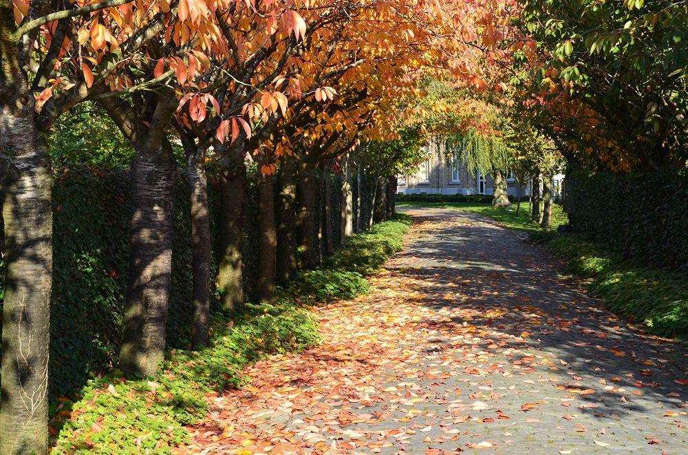 B&B Ter Brugge Stalhille Luaran gambar
